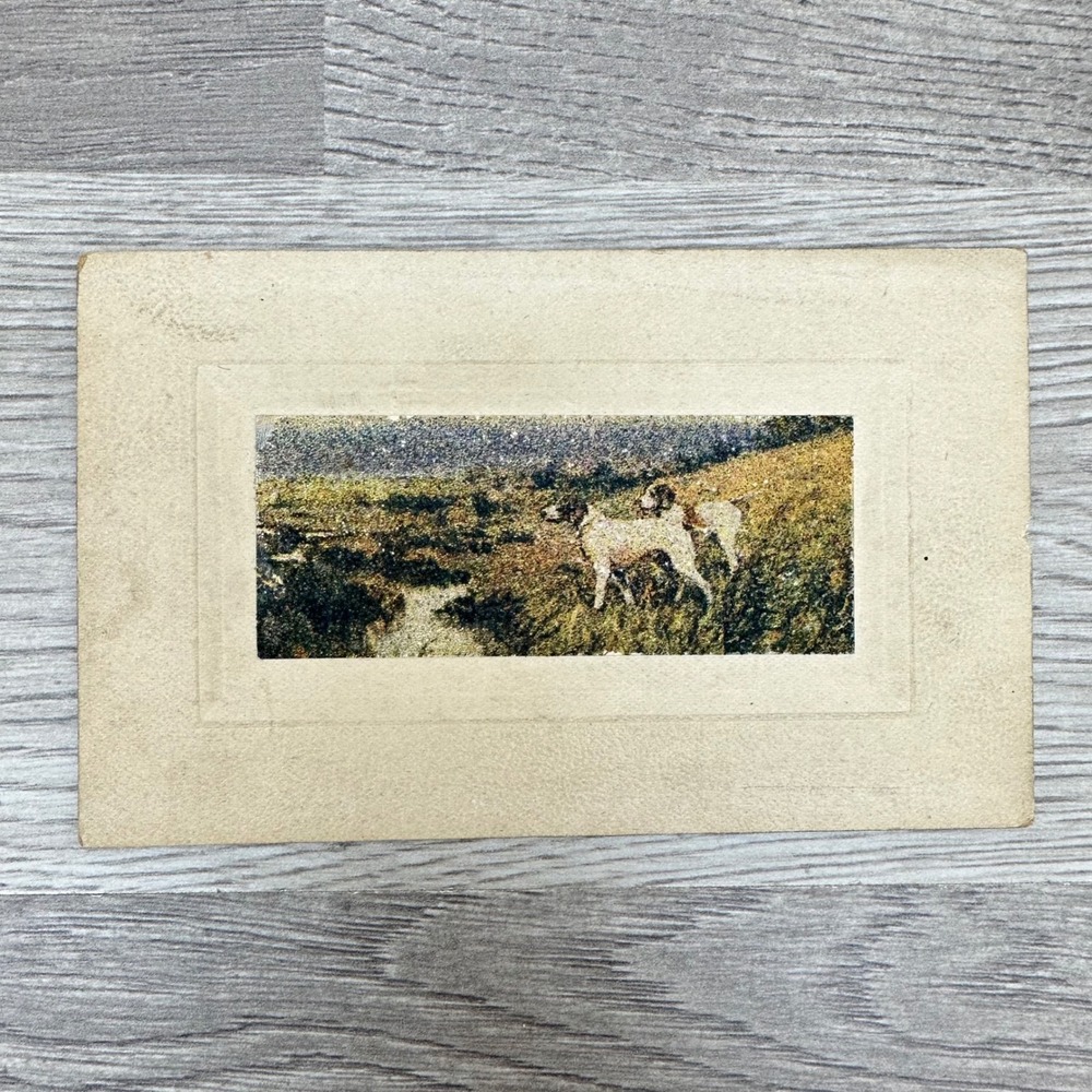 Unbranded Antique Postcard Hunting Dogs 1910 Postmark Stamp